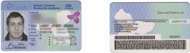 Ontario Driver's License front and back