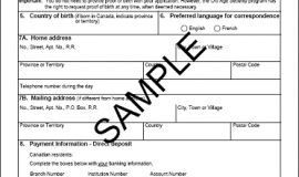 Apply for OAS as a Non-Resident of Canada - Immigroup - We Are ...