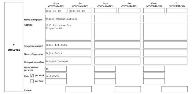 IMM 1283 Financial Evaluation page 3 middle: sponsor's employment information