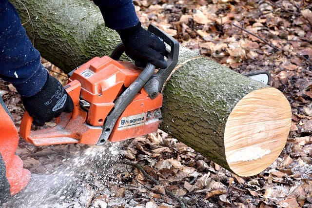 Chainsaw via https://pixabay.com/photos/cutting-wood-lumberjack-chainsaw-2146507/