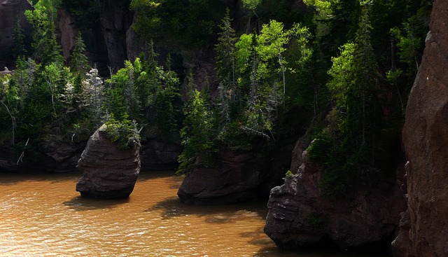 Hopewell Rocks