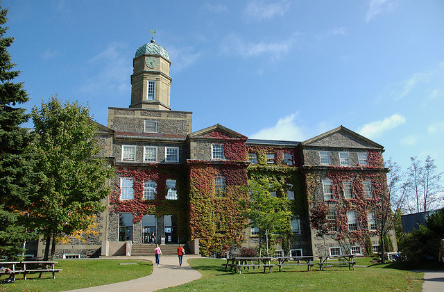 Ivy Beleaguered (Dalhousie Adminstrative Building) by mricon