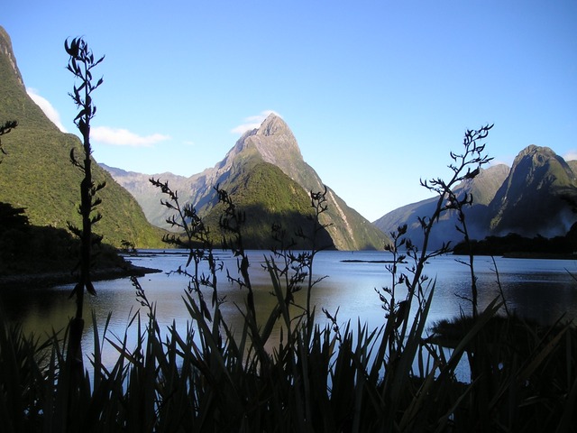 New Zealand via https://pixabay.com/static/uploads/photo/2010/11/25/new-zealand-130_640.jpg