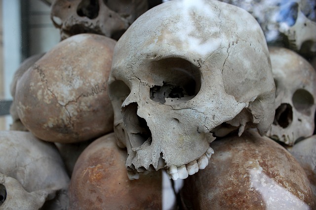 Human Skulls via https://pixabay.com/en/skulls-genocide-murder-death-human-1433178/