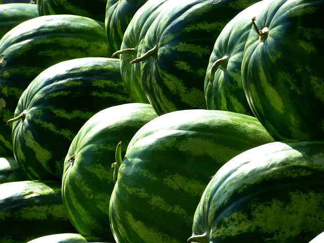 Melons via https://pixabay.com/en/melons-water-melons-fruit-green-197025/