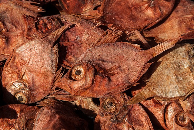 Dried Fish via https://pixabay.com/en/dried-fish-fishing-fish-1273439/