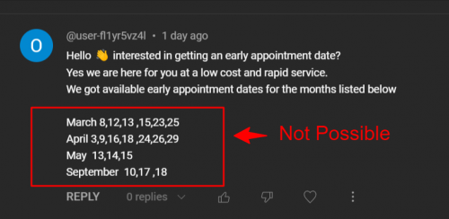 Online scam offering an early US visa appointment service.